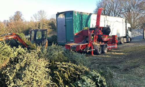 Shredded Christmas Trees